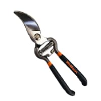 WOLFSON-FOARFECA DE VIE 8,5"