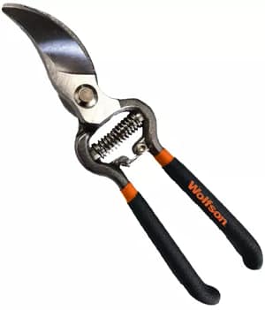 WOLFSON-FOARFECA DE VIE 8,5"