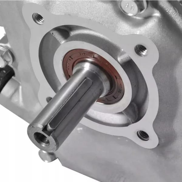 Motor benzina GTX-200 7 CP